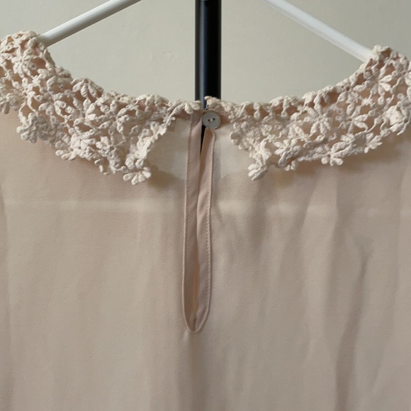 Last chance - Picture 6 of 6